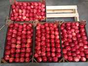 Продаю яблоки оптом из Польши 